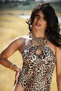 Foto Tentazioni Travescort Basilea Flavia Bambola 331 3153877 - 90